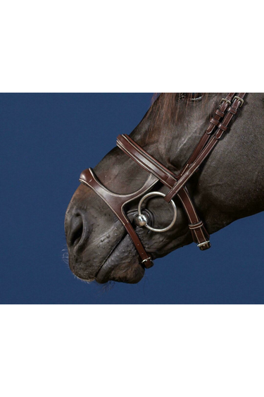 Dyon Double Noseband US Collection hodelag
