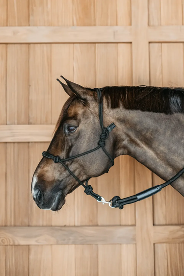 Dyon Training Halter Working By Dyon