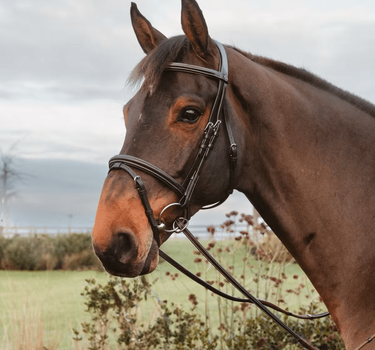 Dyon 13mm Rubber Reins w/7 Leather Loops Ring Closure Working By Dyon