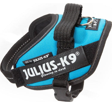 Julius-K9 IDC-hundesele