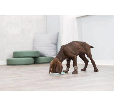 Trixie Junior slikkeplade til snacks