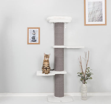 Trixie Acadia klorestativ med veggfeste