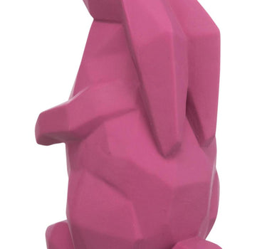 Trixie Frosk, pinnsvin og kanin