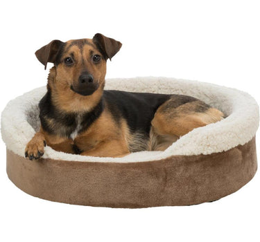 Trixie BASIC Edition Cosma Seng - Sklisikker