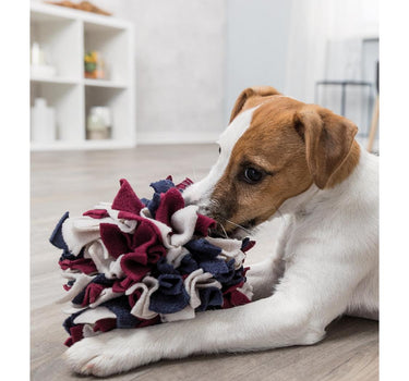 Trixie Dog activity snuseball