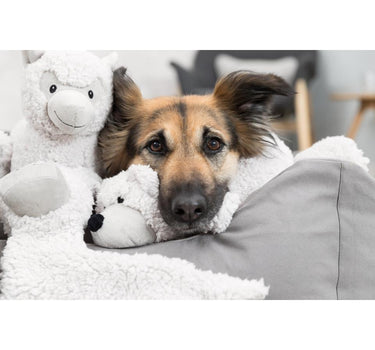 Trixie Be Eco, Elroy-bamse, resirkulert plysj