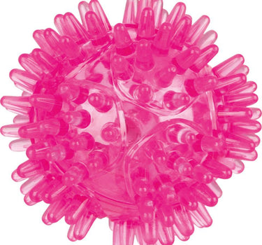 Trixie Blinkende Pinnsvinball