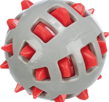 Jolly Paw Ball med nubber