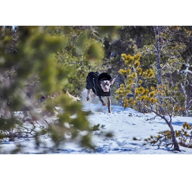 Hurtta Extreme Warmer III ECO hundedekken