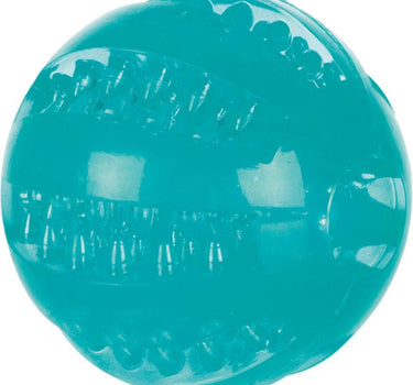 Trixie DENTAfun Mintfresh ball