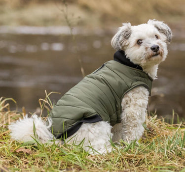 Trixie Arlay hundedekken
