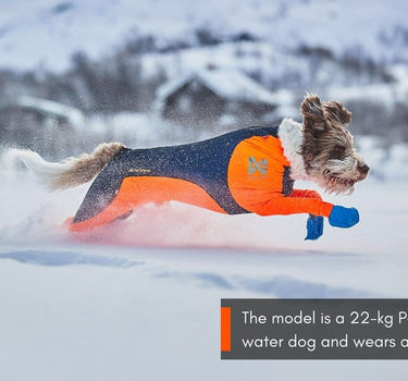 Nonstop Dogwear kompresjons Dekken til Hund