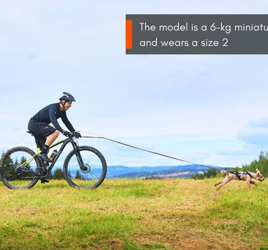 Nonstop Dogwear Freemotion Hundesele