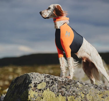 Nonstop Dogwear Protector T-skjorte for Hund