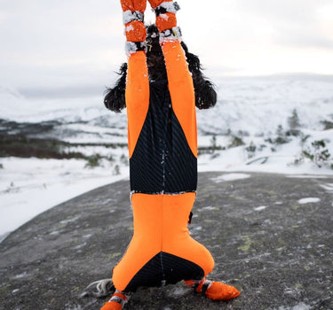 Nonstop Dogwear Høye Potsokker for Hund – Beskyttende og Komfortabel