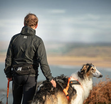 Nonstop dogwear Løpebelte for Hund – Komfortabelt og høy kvalitet