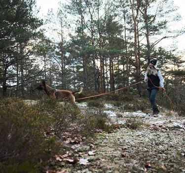 Nonstop Dogwear Friksjon Lang Line for Hund - Slitesterk