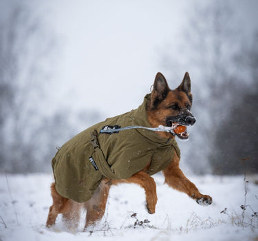 Nonstop Dogwear The Glacier Hundejakke WD