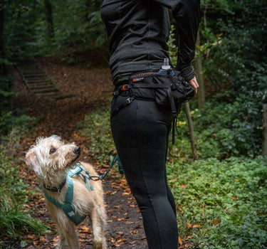 Nonstop dogwear Løpebelte for Hund – Komfortabelt og høy kvalitet