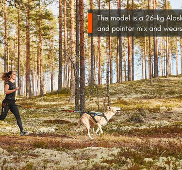 Nonstop Dogwear Freemotion Hundesele