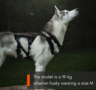 Nonstop Dogwear Long Rock Hundesele