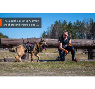 Nonstop Dogwear Long Rock Hundesele