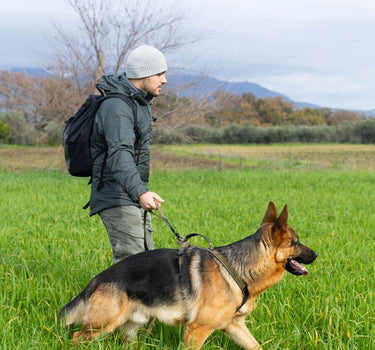 Nonstop Dogwear Touring Hundebånd WD – Elastisk Kobbel