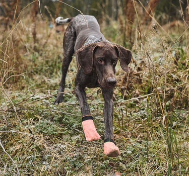 Nonstop Dogwear Protector light Hundesokker – Beskyttende og Komfortabel