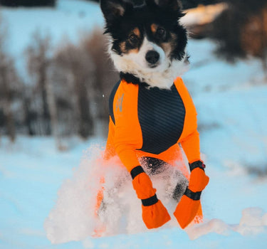 Nonstop Dogwear Høye Potsokker for Hund – Beskyttende og Komfortabel