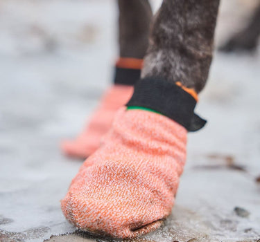 Nonstop Dogwear Protector light Hundesokker – Beskyttende og Komfortabel
