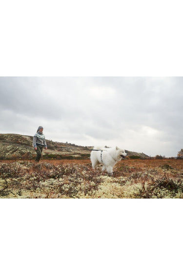 Nonstop Dogwear Ferd Løpebelte, Komfortabelt og Vanntett
