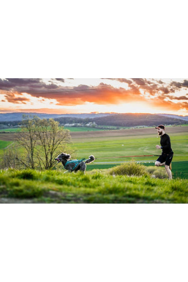 Nonstop Dogwear CaniX Belte 2.0 – Komfortabelt og Holdbart Belte for Løping