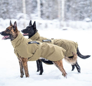 Nonstop Dogwear The Glacier Hundejakke WD