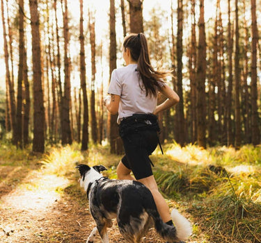 Nonstop dogwear Løpebelte for Hund – Komfortabelt og høy kvalitet