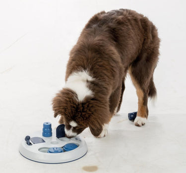 Trixie Dog Activity Flip Board