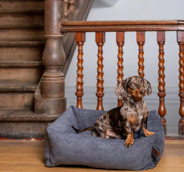 Fantail Snug Mellow hundeseng