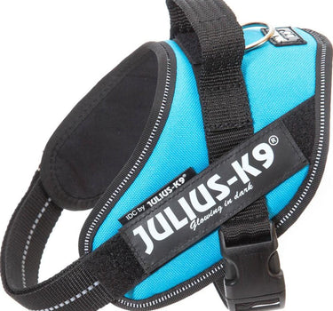 Julius-K9 IDC-hundesele