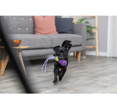 Trixie Aubergine på et tau