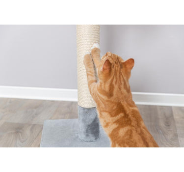 Trixie Baena klorestokk 69 cm, mellomgrå