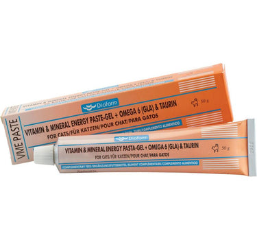Diafarm Vit/min energipasta gel + Omega 6
