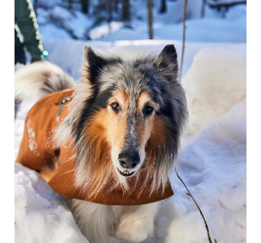 Hurtta Monsoon II ECO hundedekken