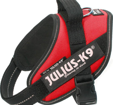 Julius-K9 IDC-hundesele