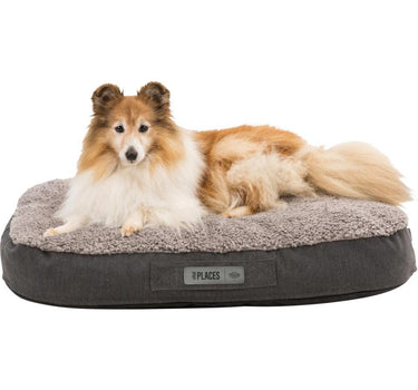 Trixie Bendson vital pute