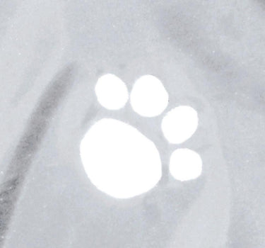 Trixie Tarbes regndekken - hvit