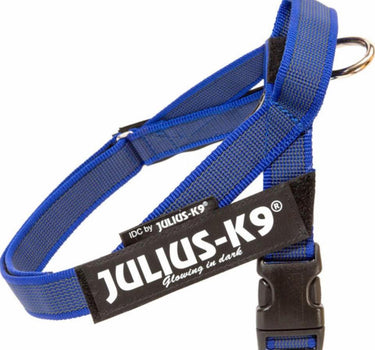 Julius-K9 IDC Color & Gray hundesele