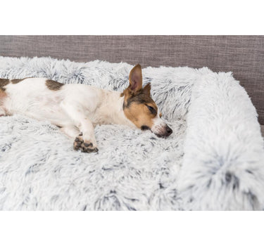 Trixie Harvey møbelbeskytterseng