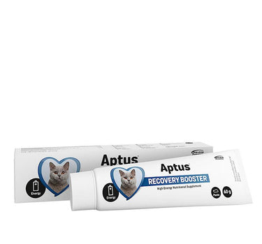 Aptus Recovery Booster Cat 60g – Ernæringstøtte for Katt under Restitusjon eller Sykdom