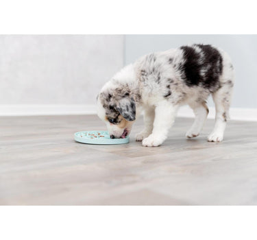 Trixie Junior slikkeplade til snacks