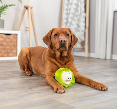 Trixie gris i latex med lyd