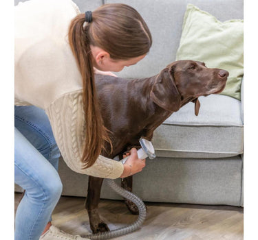 Trixie klippesett med pels støvsuger